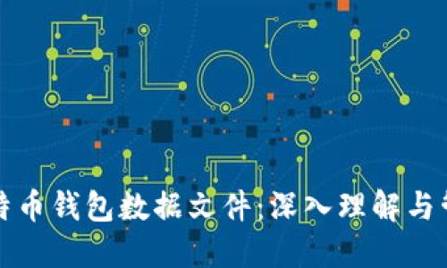 比特币钱包数据文件：深入理解与管理