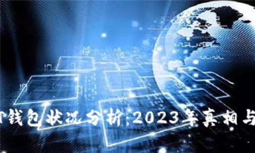 最新USDT钱包状况分析：2023年真相与前景展望