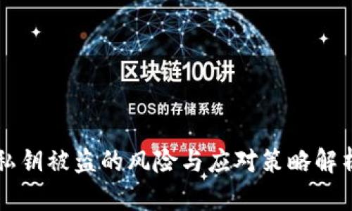 私钥被盗的风险与应对策略解析