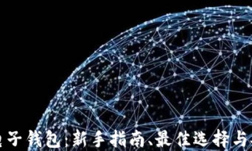 
狗狗币电子钱包：新手指南、最佳选择与安全策略