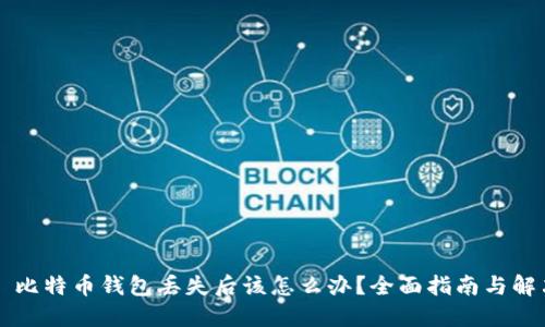 ### 比特币钱包丢失后该怎么办？全面指南与解决方案