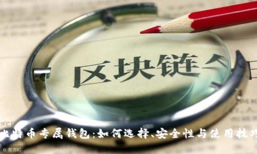 比特币专属钱包：如何选择、安全性与使用技巧