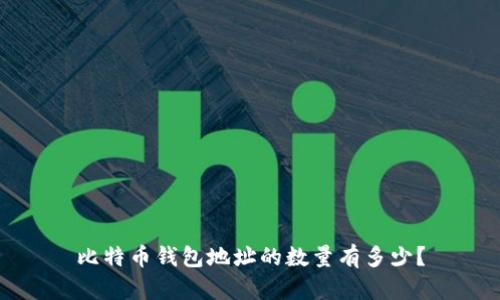比特币钱包地址的数量有多少？