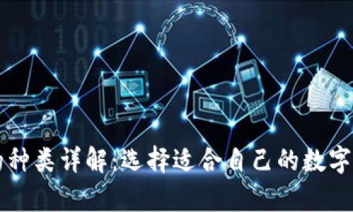 比特币钱包的种类详解：选择适合自己的数字货币存储方式