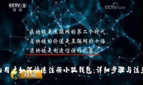 : 国内用户如何快速注册小狐钱包：详细步骤与注意事项