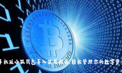 手机版小狐钱包导入使用指南，轻松管理你的数字资产