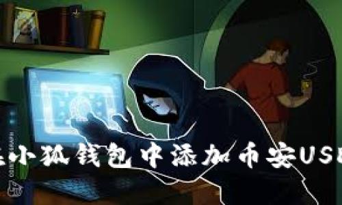 如何在小狐钱包中添加币安USDC指南