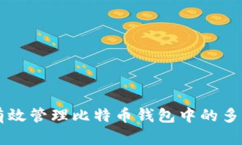 如何有效管理比特币钱包中的多笔交易