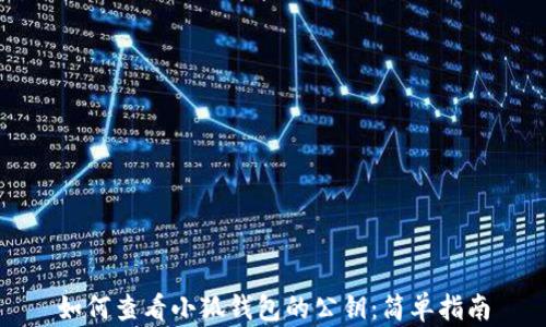 
如何查看小狐钱包的公钥：简单指南