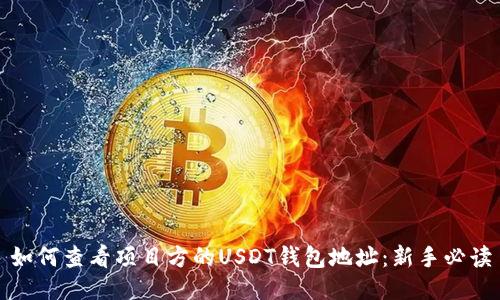 如何查看项目方的USDT钱包地址：新手必读