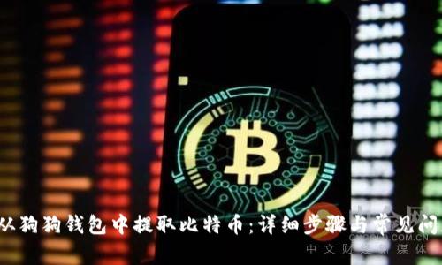  如何从狗狗钱包中提取比特币：详细步骤与常见问题解答