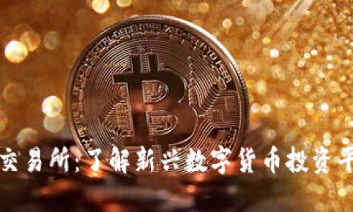 CoinList Pro交易所：了解新兴数字货币投资平台的全面指南