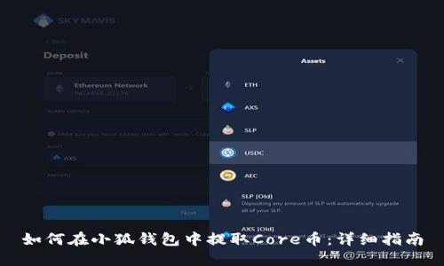 如何在小狐钱包中提取Core币：详细指南