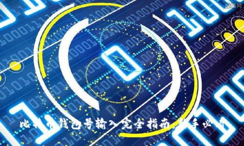 比特币钱包号输入完全指南：新手必看