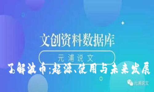 了解波币：起源、使用与未来发展