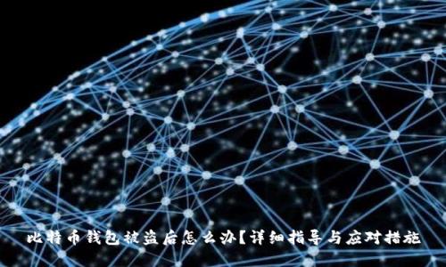 比特币钱包被盗后怎么办？详细指导与应对措施