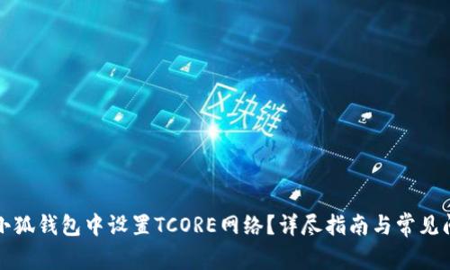 如何在小狐钱包中设置TCORE网络？详尽指南与常见问题解答