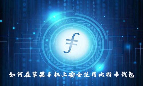 如何在苹果手机上安全使用比特币钱包