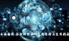 全面解析：各种比特币钱