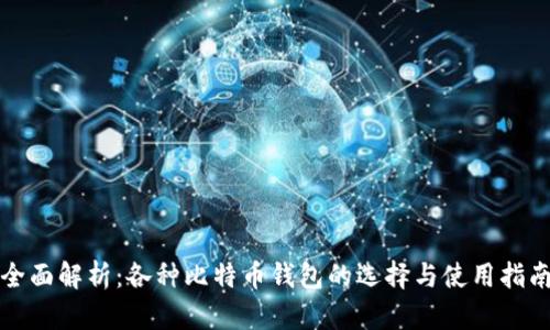 全面解析：各种比特币钱包的选择与使用指南