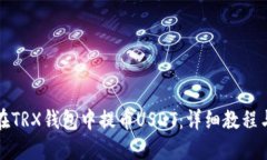 如何在TRX钱包中提币USDT：