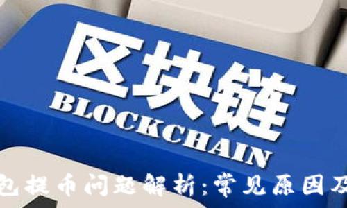   
比特派钱包提币问题解析：常见原因及解决方案