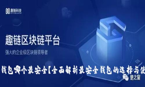 区块链钱包哪个最安全？全面解析最安全钱包的选择与使用指南