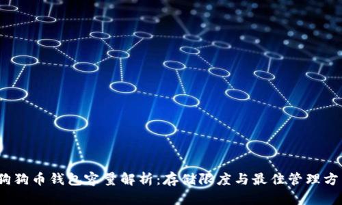 :狗狗币钱包容量解析：存储限度与最佳管理方法