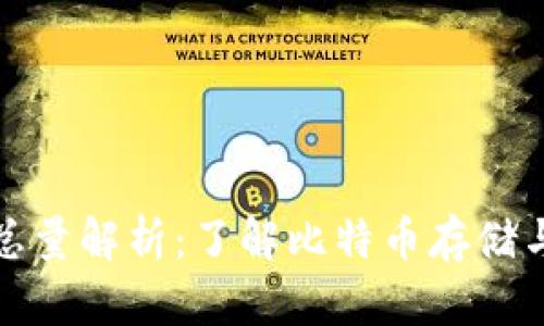 比特币钱包总量解析：了解比特币存储与交易的基础