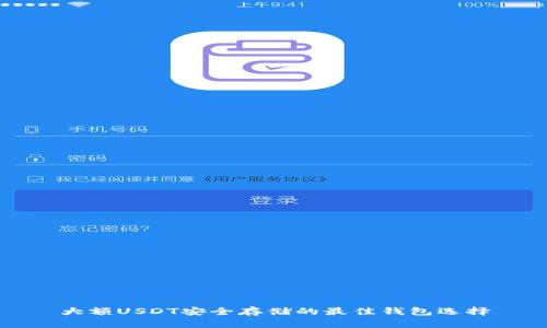大额USDT安全存储的最佳钱包选择