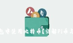 如何在Pi币钱包中使用比特
