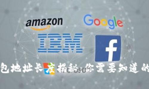 比特币钱包地址长度揭秘：你需要知道的所有信息