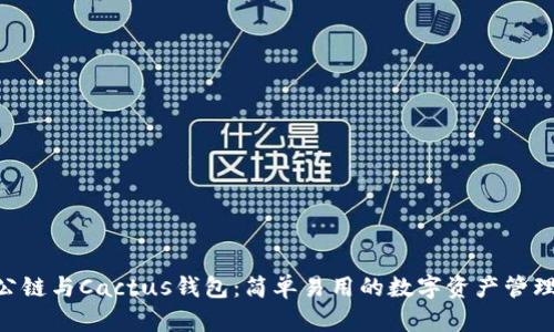 SOL公链与Cactus钱包：简单易用的数字资产管理平台