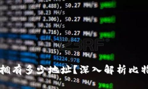 一个比特币钱包可以拥有多少地址？深入解析比特币地址的生成与使用
