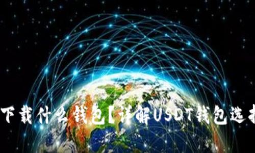 转USDT需要下载什么钱包？详解USDT钱包选择与转账指南