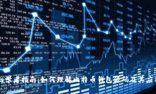 初学者指南：如何理解比特币钱包源码及其应用