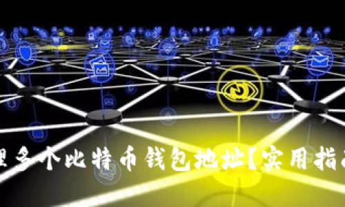 如何管理多个比特币钱包地址？实用指南与技巧