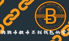  解决狗狗币提币不到钱包