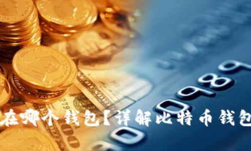比特币保存在哪个钱包？详解比特币钱包选择与使用