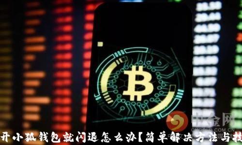 
打开小狐钱包就闪退怎么办？简单解决方法与技巧