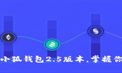 : 轻松下载小狐钱包2.5版本，掌握你的数字资产