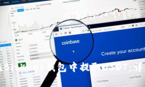 如何在BitKeep钱包中提取USDT：详细指南