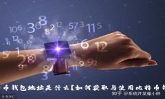 比特币钱包地址是什么？