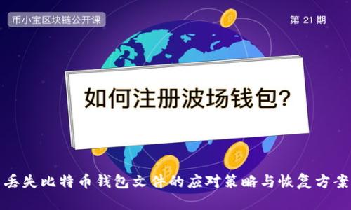 丢失比特币钱包文件的应对策略与恢复方案