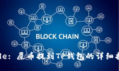 Title: 屎币提到TP钱包的详细指南