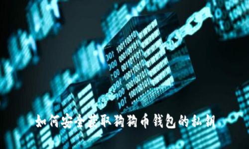 如何安全获取狗狗币钱包的私钥