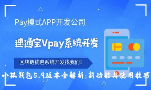 小狐钱包5.9版本全解析：新功能与使用技巧