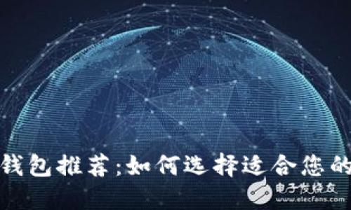 最安全的货币钱包推荐：如何选择适合您的安全数字钱包