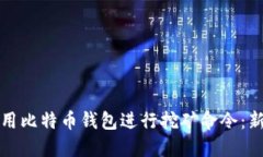 如何使用比特币钱包进行