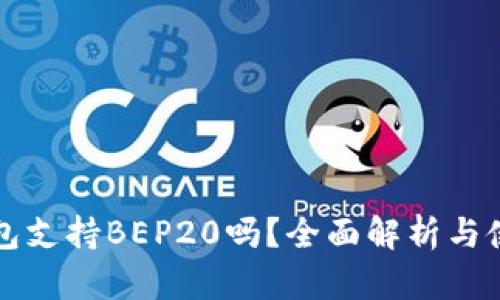 小狐钱包支持BEP20吗？全面解析与使用指南